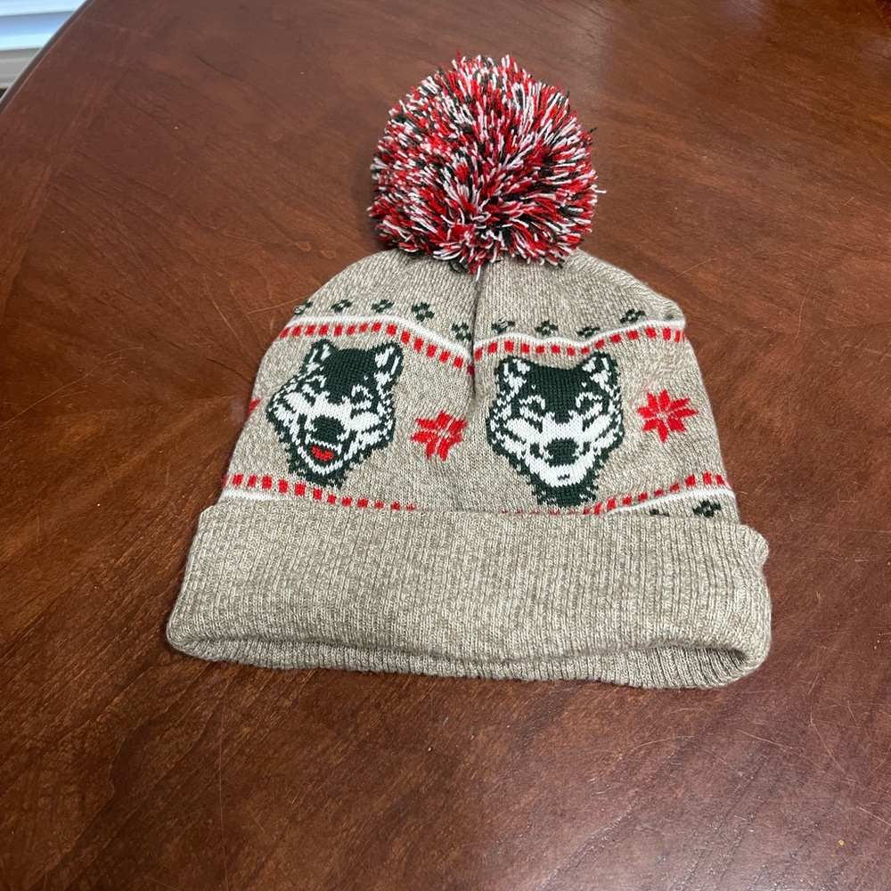 American Eagle Classic Fit Pom Beanie wolf design
